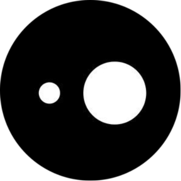 lunar31