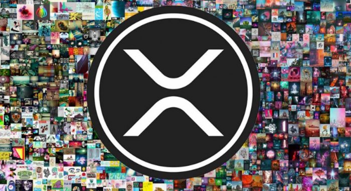 Ripple впервые инвестировала в NFT-проекты на блокчейне XRPL