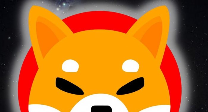 Разработчики Shiba Inu открыли метавселенную SHIB: The Metaverse