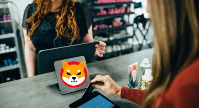 Теперь Shiba Inu можно оплатить кофе, одежду и электронику