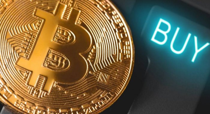 Блокчейн-компания Terraform Labs купит биткоины на $10 млрд