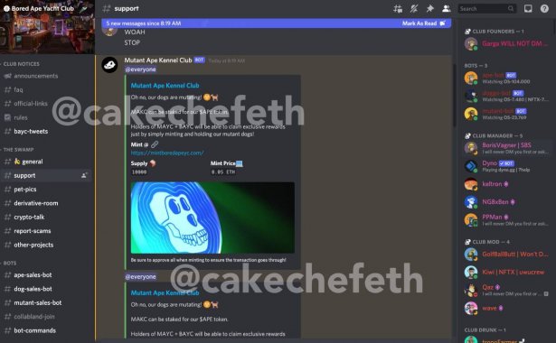 bayc-discord-fake-post