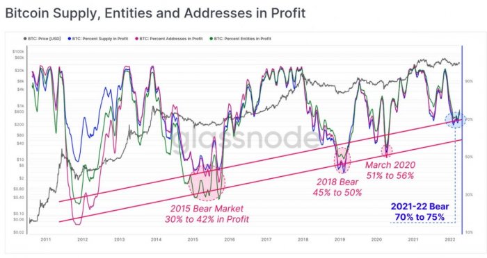btc-wallets-profitable
