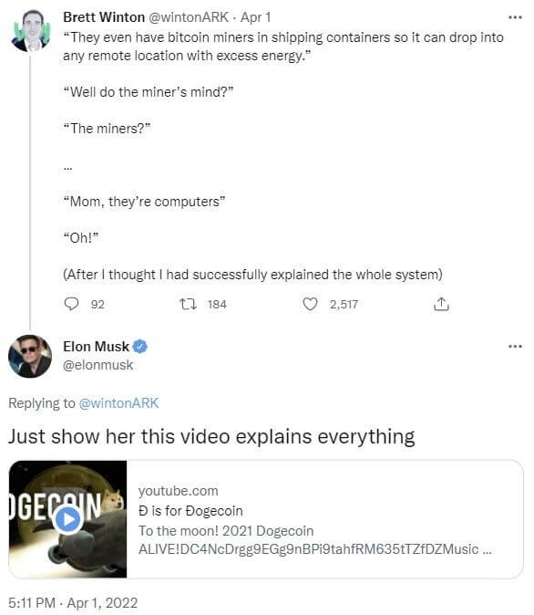 doge-video
