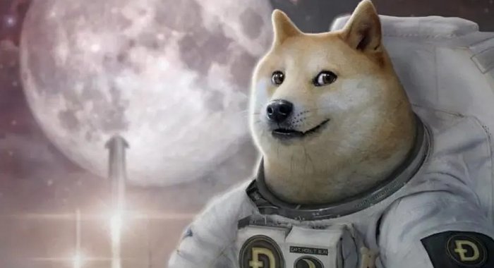 Криптоаналитик Kaleo прогнозирует рост Dogecoin (DOGE) на 155%
