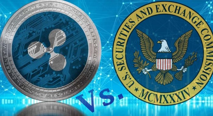 Вердикт по делу против эмитента токенов XRP вынесут до конца года