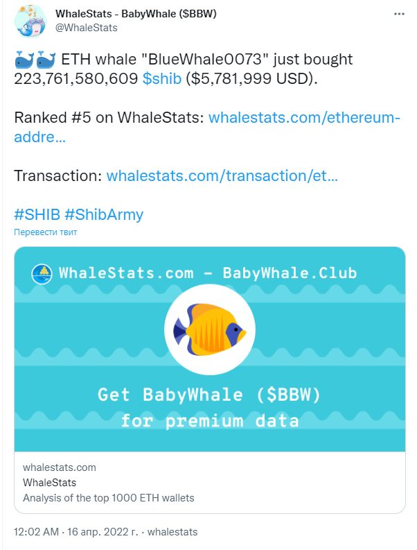 Screenshot (1)