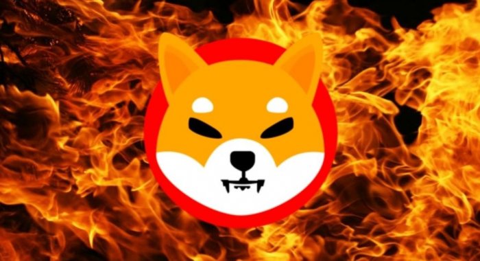 Биржа труда LaborX будет уничтожать криптовалюты Shiba Inu и BONE