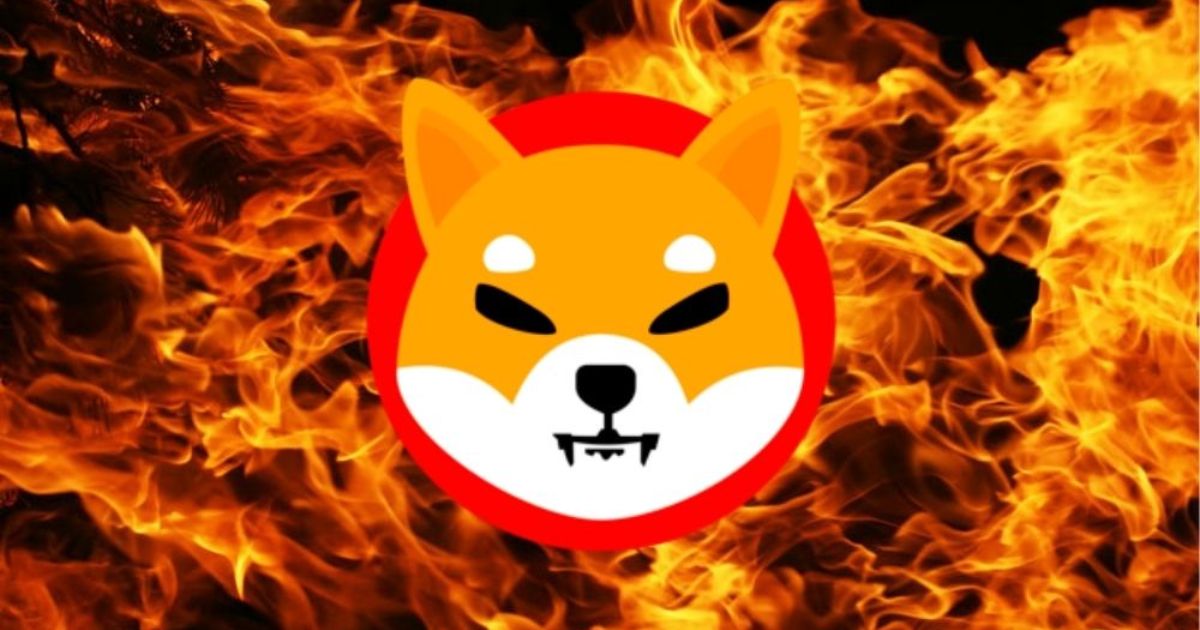 coinmag