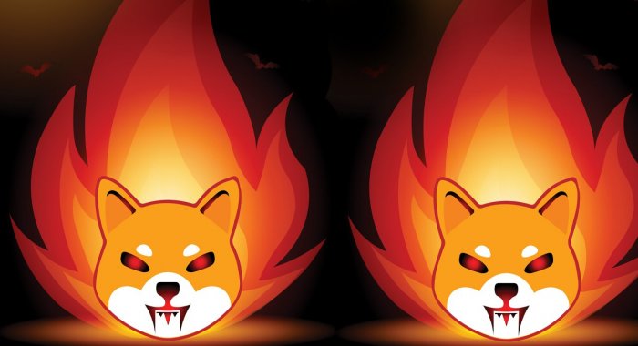 Армия SHIB ожидает сжигания токенов на Shibarium на сумму более $1 млн