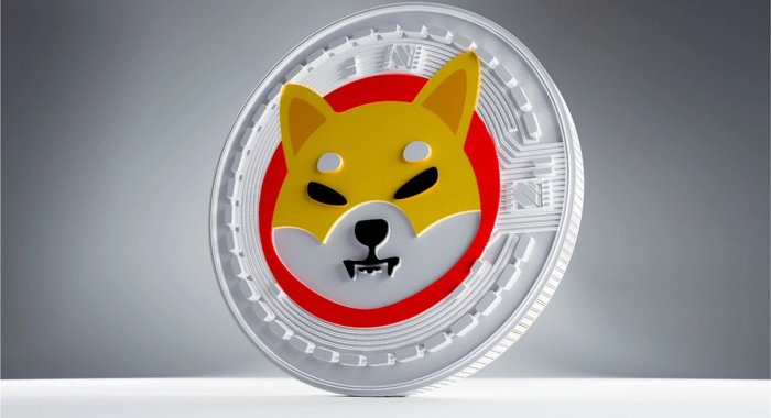 Shiba Inu признана самой популярной криптовалютой в Великобритании