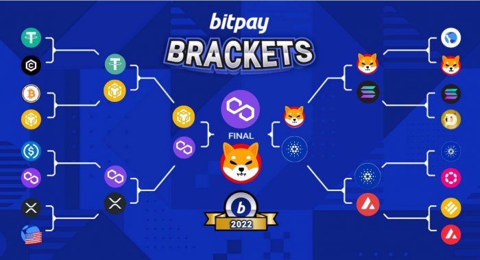 Shiba Inu победила в конкурсе BitPay, опередив Cardano и Dogecoin