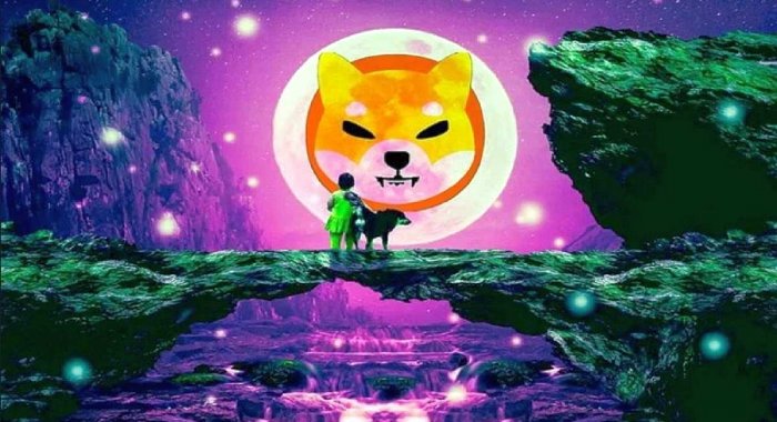 У центра Shiba Inu в метавселенной появилось оригинальное графическое решение
