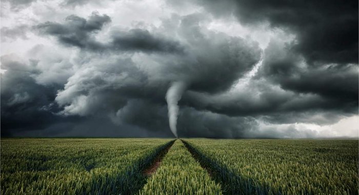 Оракул Chainalysis позволит ETH-миксеру Tornado Cash блокировать адреса