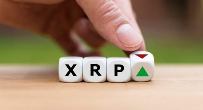 За день цена XRP выросла на 30%, за неделю — на 65%. Ripple побеждает SEC?