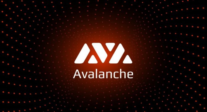 Криптоаналитик прогнозирует восходящее ралли AVAX и FTM
