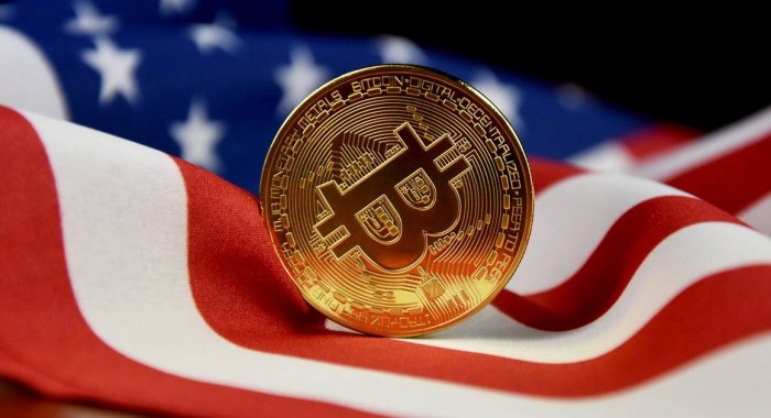 Падение курса криптовалют незначительно повлияло на экономику США