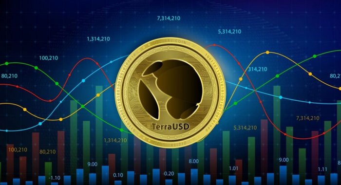 Владельцам стейблкоинов TerraUSD компенсируют убытки