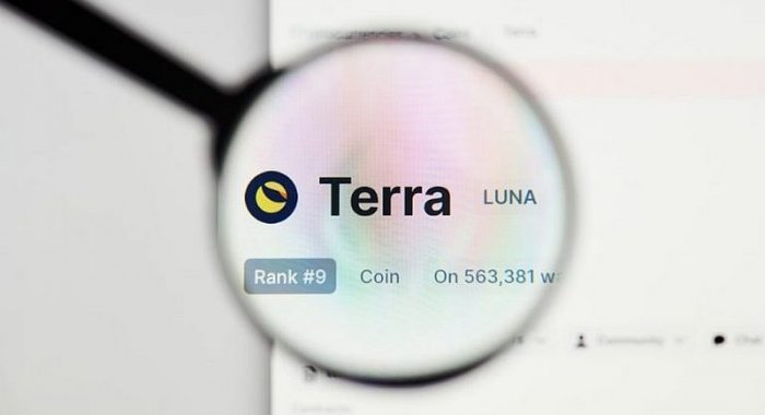Форк LUNA 2.0 больше всего заинтересовал инвесторов Финляндии и Испании