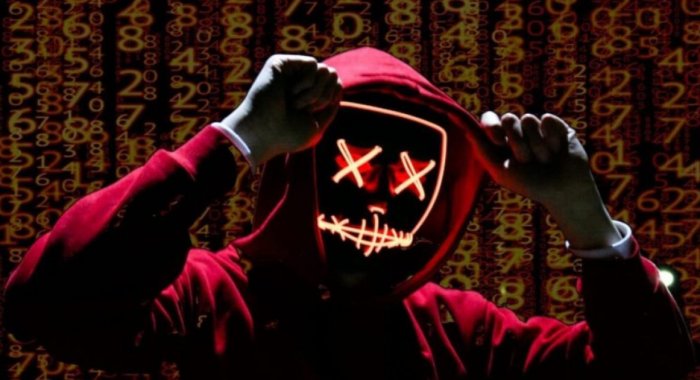У DeFi Terraport украли криптовалюту через 11 дней после запуска