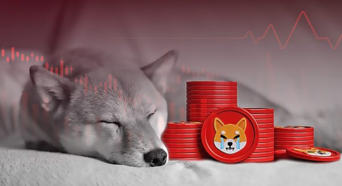 SHIB упал на 22%, установив семимесячный минимум относительно ATH