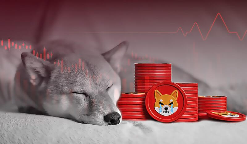coinmag