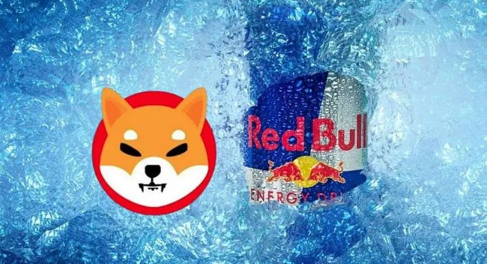 Команда Shiba Inu занимается обсуждением сотрудничества с Red Bull