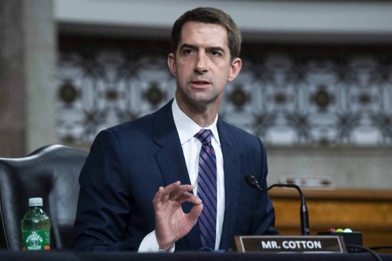 tom-cotton