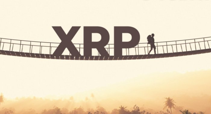 Apex создаст мост между блокчейнами XRP Ledger и Avalanche