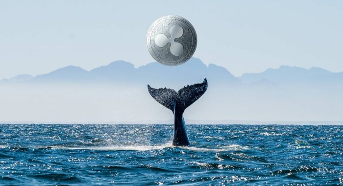 С криптобиржи Kraken выведены 500 млн XRP на сумму $ 161 млн