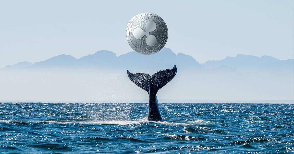 coinmag