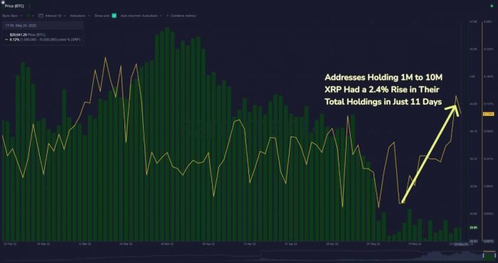 xrp-whales-holding-graph