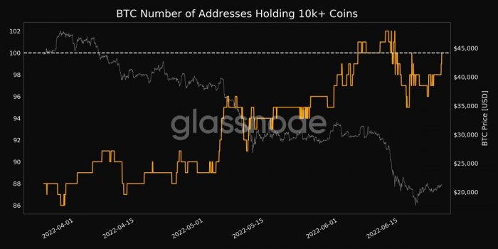btc-addresses-10k-25-06