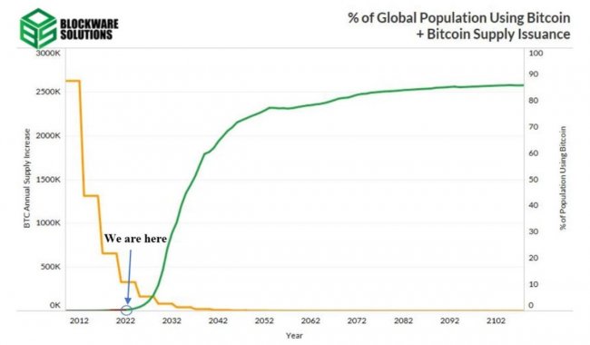 btc-adoption-curves