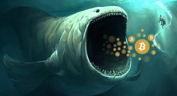 С апреля криптовалютные киты накопили биткоины на $ 3,8 млрд