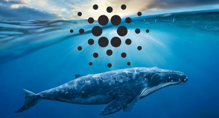 Сделки криптокитов сигнализируют о повышении цены Cardano