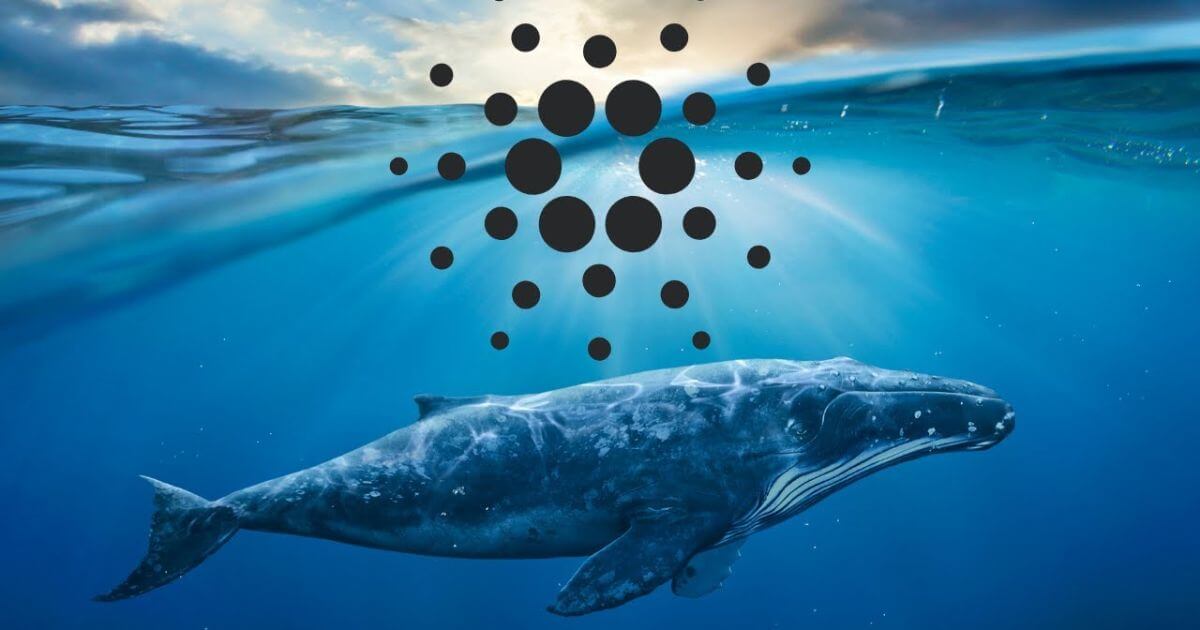 coinmag