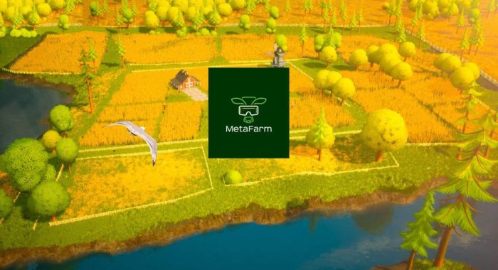MetaFarm – виртуальная и реальная земля в сети Polygon и солнечной Молдавии