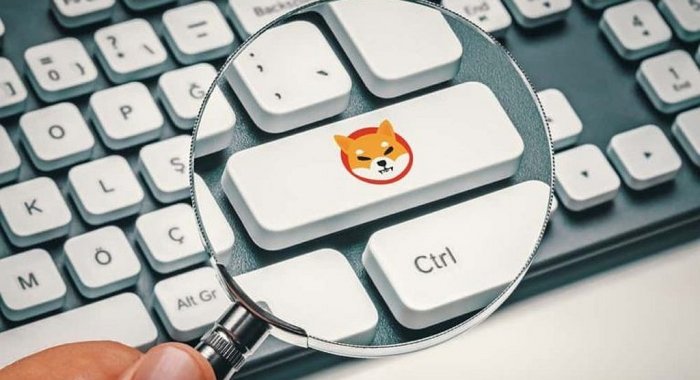 Популярность Shiba Inu в Google снизилась из-за падения цены SHIB