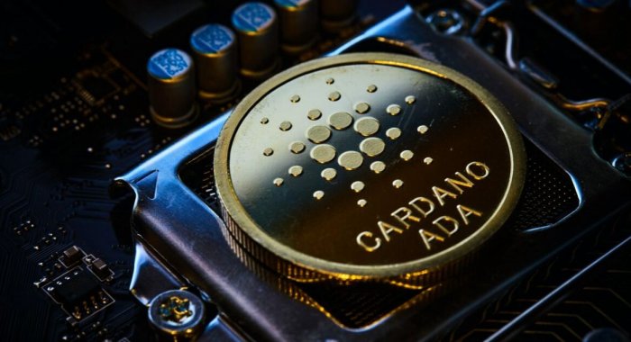 Сервис телемедицины Citaldoc начал принимать оплату в Cardano