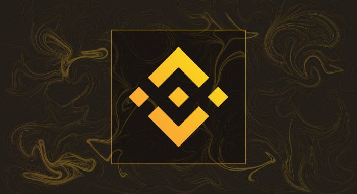 Регулятор Германии мог отклонить заявку Binance на хранение криптовалют