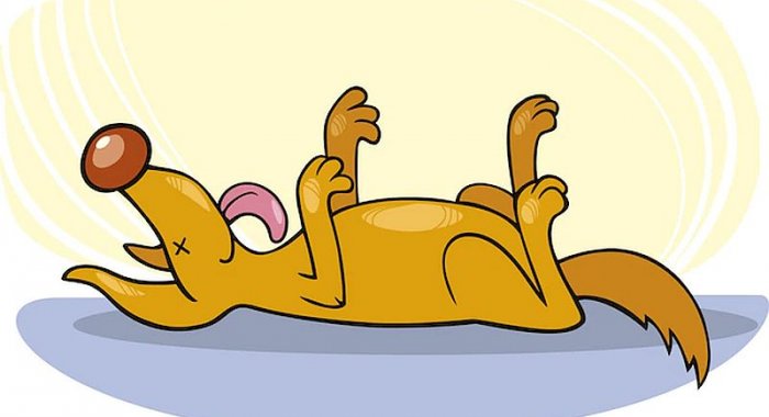 Цена TeddyDoge (TEDDY) упала на 99%, средства пользователей украдены