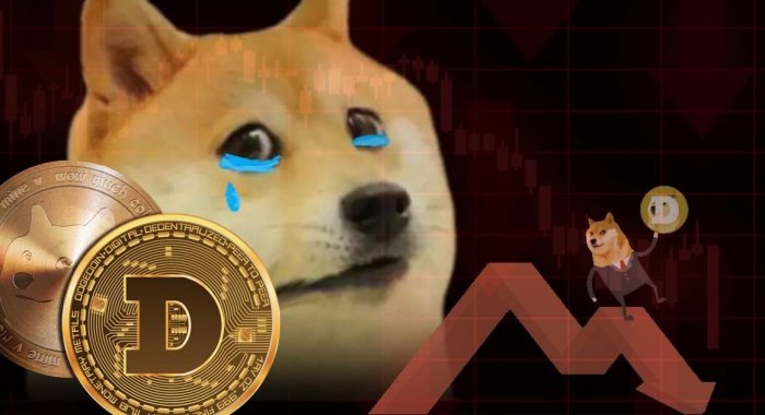 Собака-символ криптовалюты Dogecoin серьёзно заболела