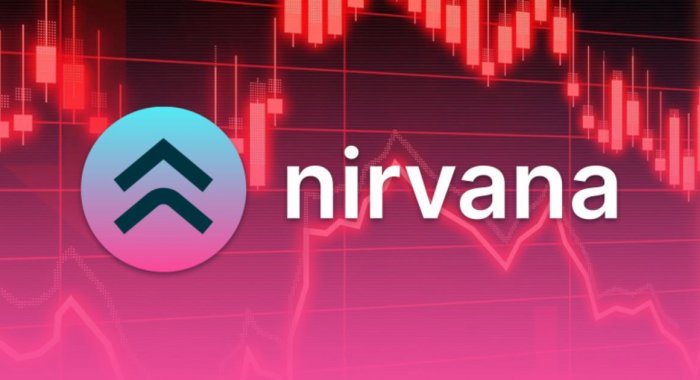 Хакерская атака привела к падению курса стейблкоина Nirvana на 94%