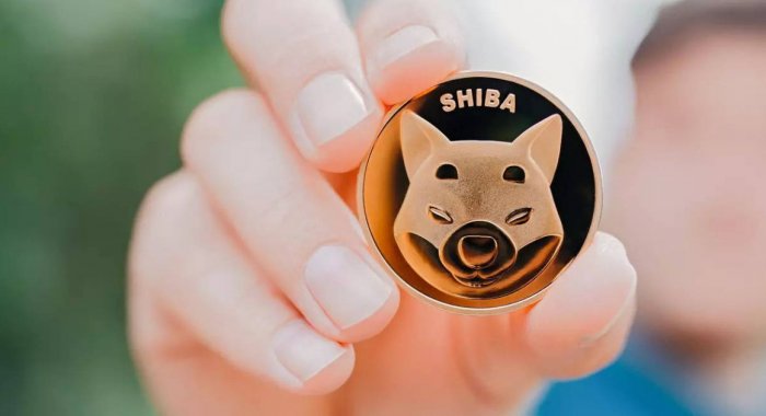 Shiba Inu опередил Tron и занял 15-е место по уровню капитализации