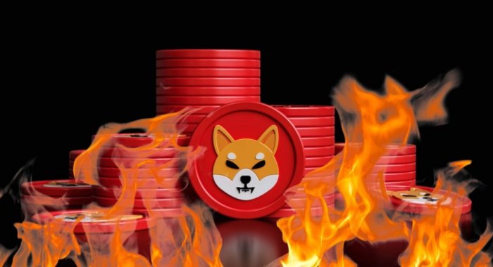 Shiba Inu на $1 млн не были сожжены из-за взлома Ledger