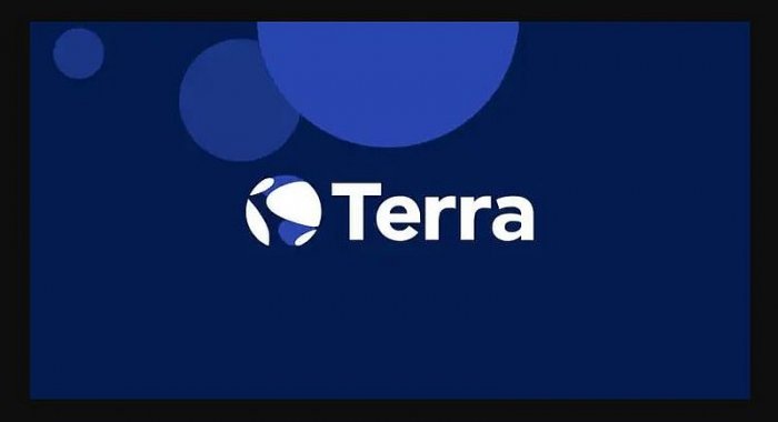 Скоро у сообщества Terra Classic (LUNC) появится новый руководитель