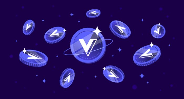 MetaFormLabs пообещала поднять курс Voyager Token в восемь раз