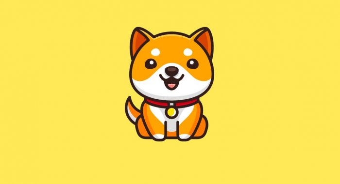 Канадский платёжный шлюз начал поддерживать монету Baby Doge