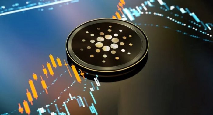 Приближение хардфорка Vasil в сети Cardano теперь можно мониторить